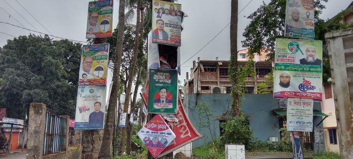 চান্দিনায় গাছে গাছে পেরেক-তারকাঁটার খোঁচা, গুমড়ে মরছে প্রকৃতি: নির্বিকার প্রশাসন